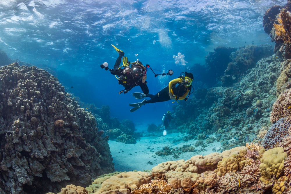 snorkeling
